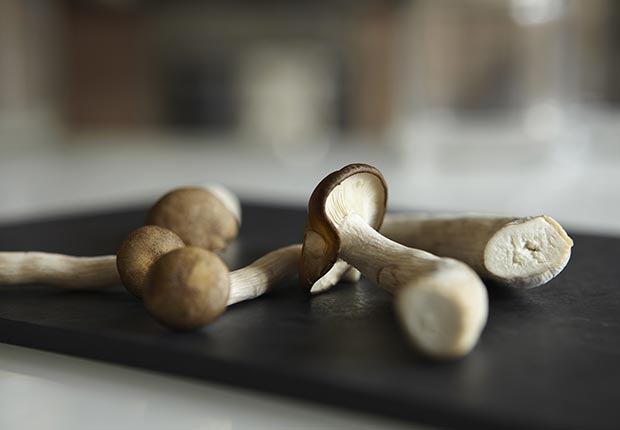 Mushrooms, Everyday Foods with Surprising Health Benefit (Debby Lewis-Harrison/cultura/Corbis)