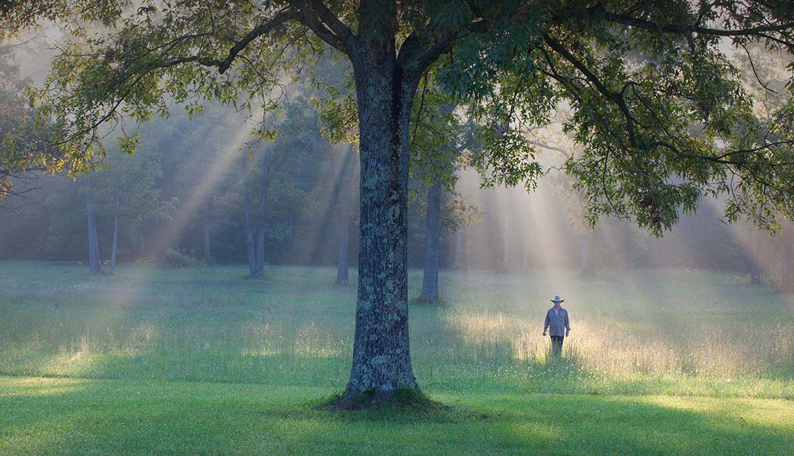Man walks near trees, Reduce Stress Green Space
