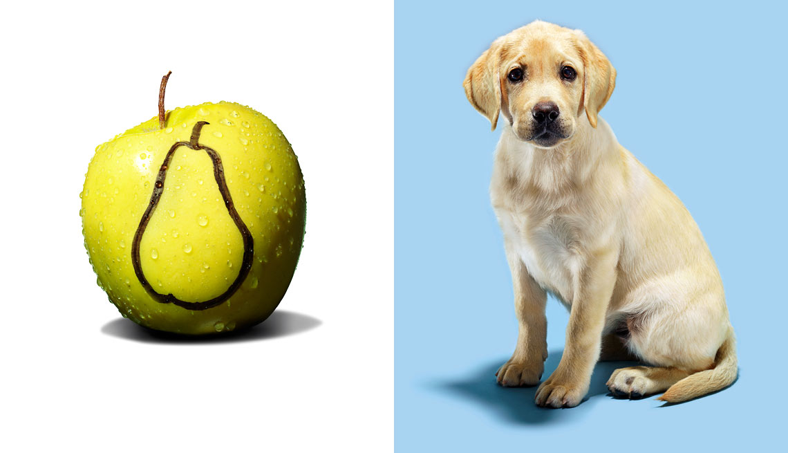 Imagen dividida, una fruta a un lado, un perro al otro