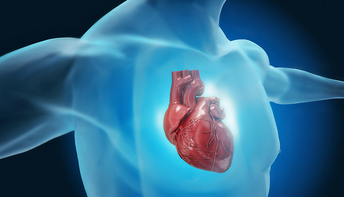 Ilustración del corazón - ¿Qué pasa con nuestro cuerpo cuando nos sentamos durante casi ocho horas al día?