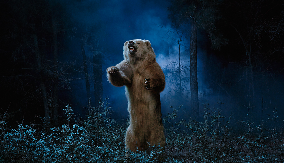 A bear in a forest at night, Save Your Life In 5 Minutes