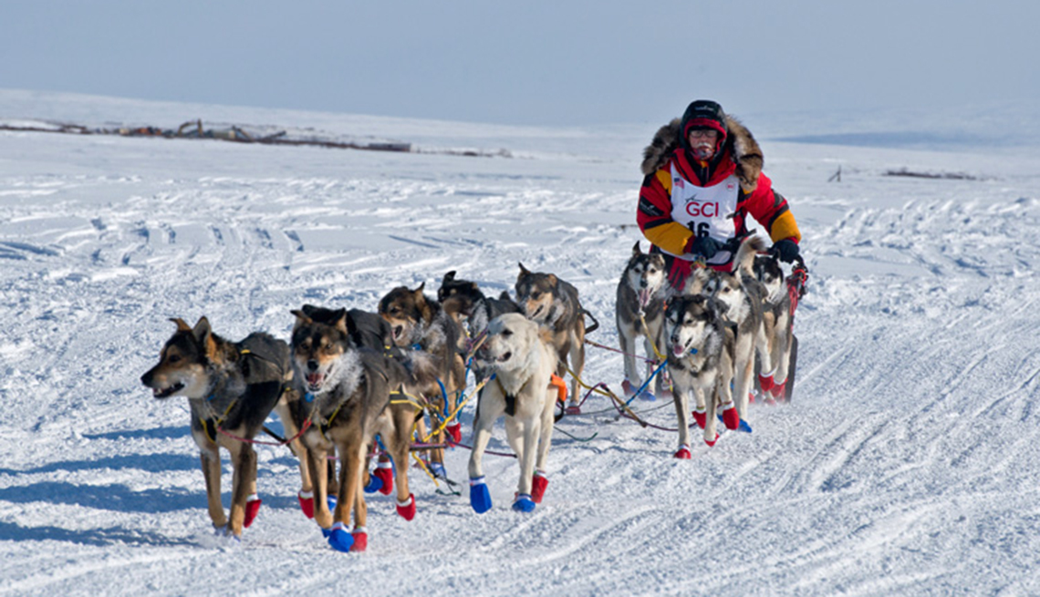 Oldest Musher Wins Iditarod Dog Sled Race 