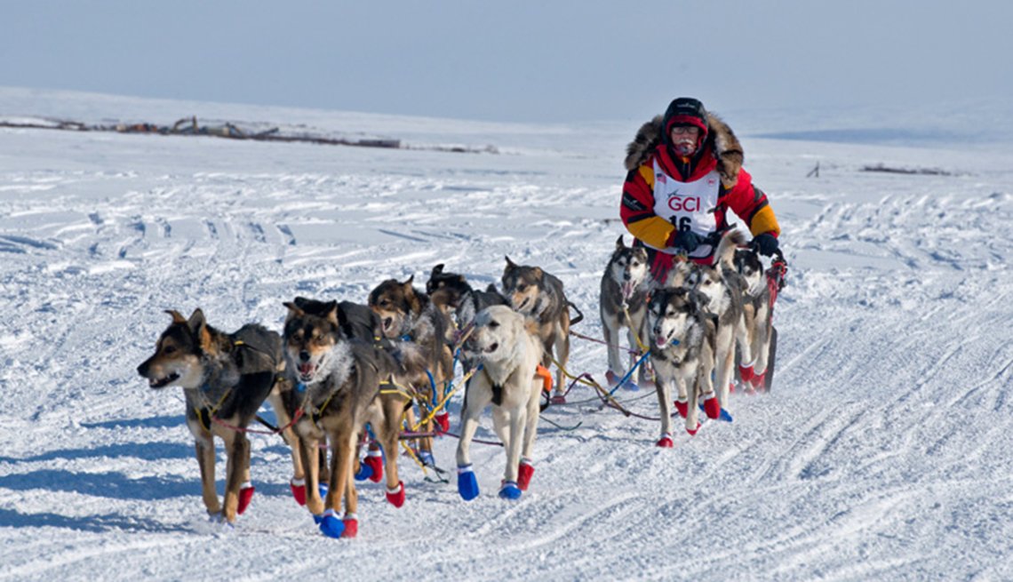 Oldest, Fastest Musher in History Wins Iditarod