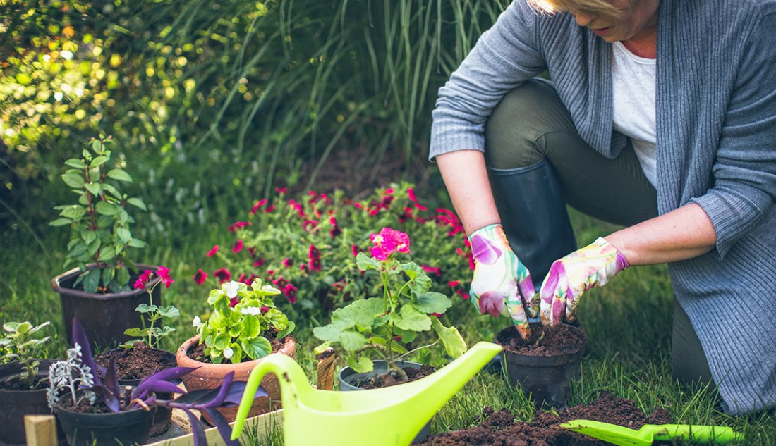 5 Health Benefits of Gardening and Planting