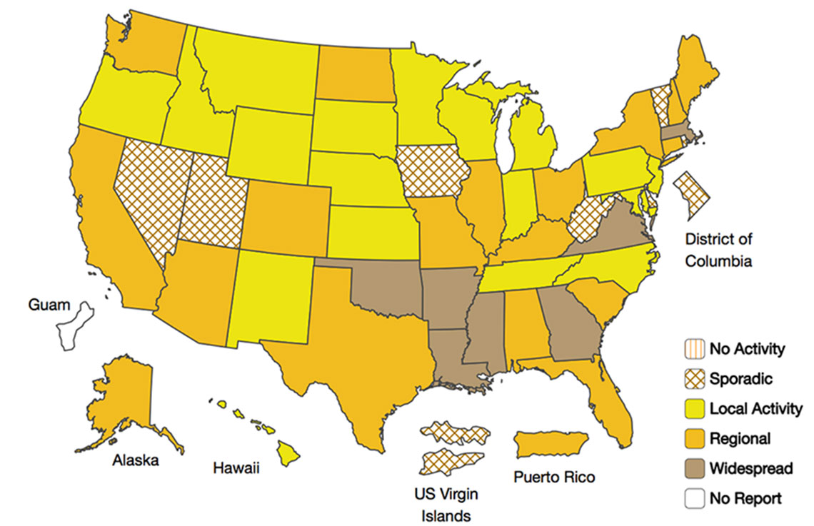 CDC Reports Flu Is Spreading Faster Than in 2016