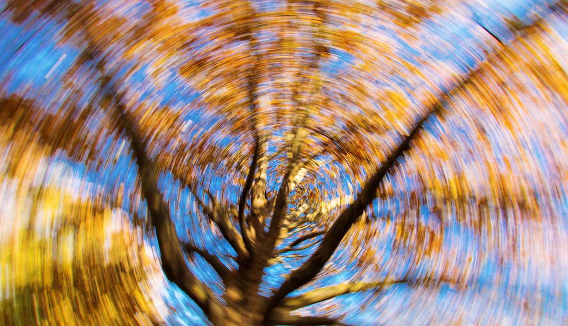 Árbol con hojas de otoño, foto fuera de foco