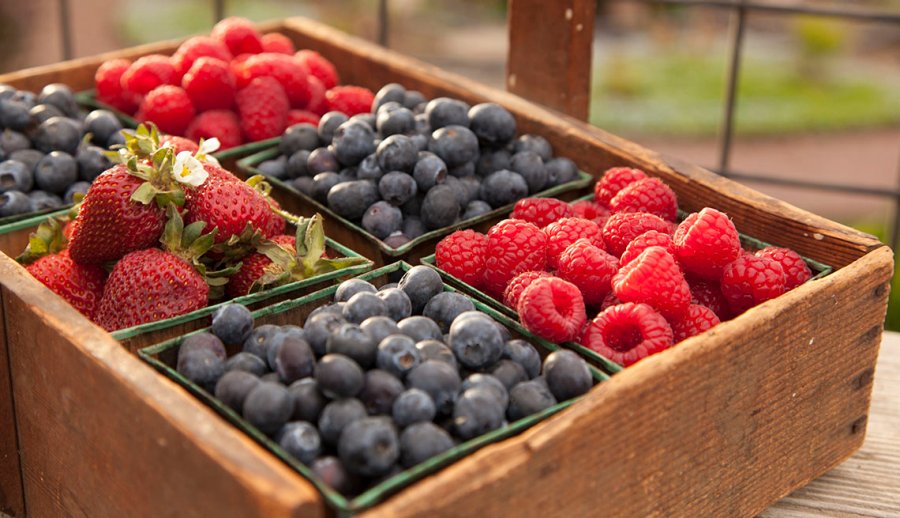 Berries in boxes