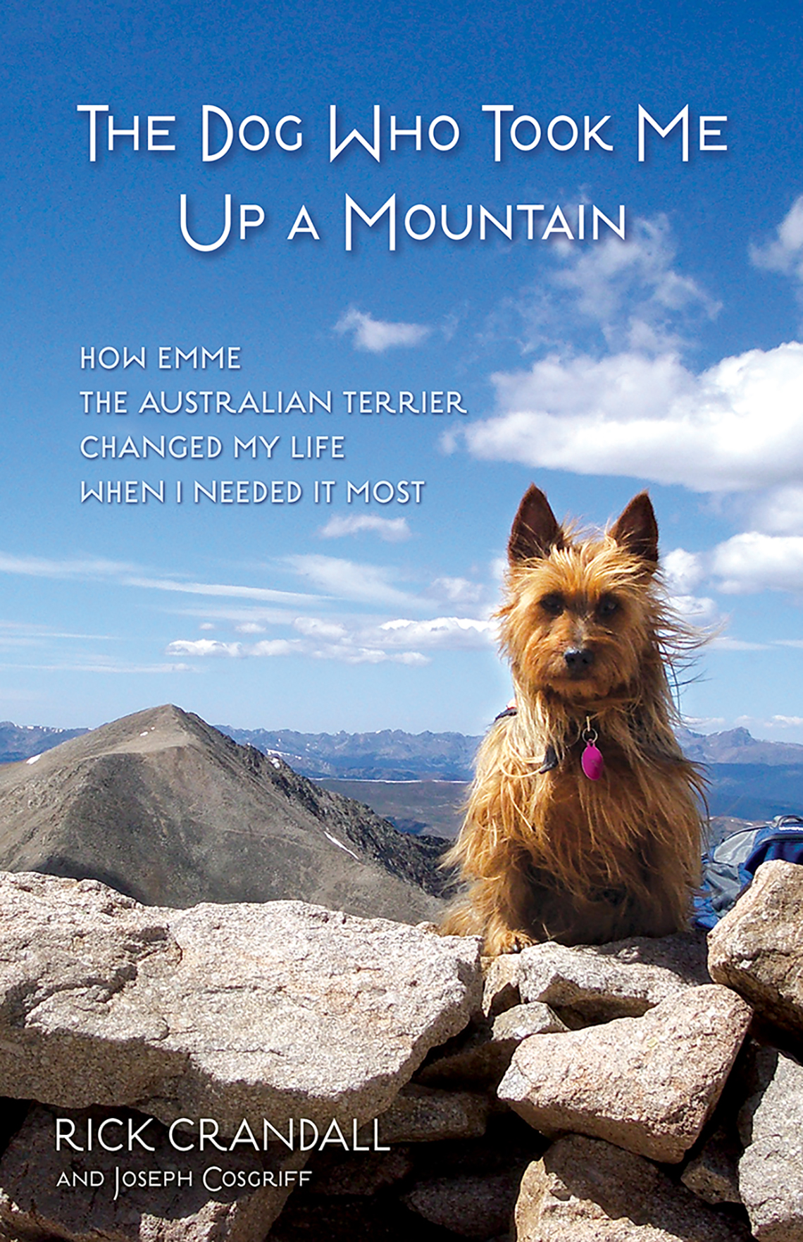 The book cover for 'The Dog Who Took Me Up a Mountain