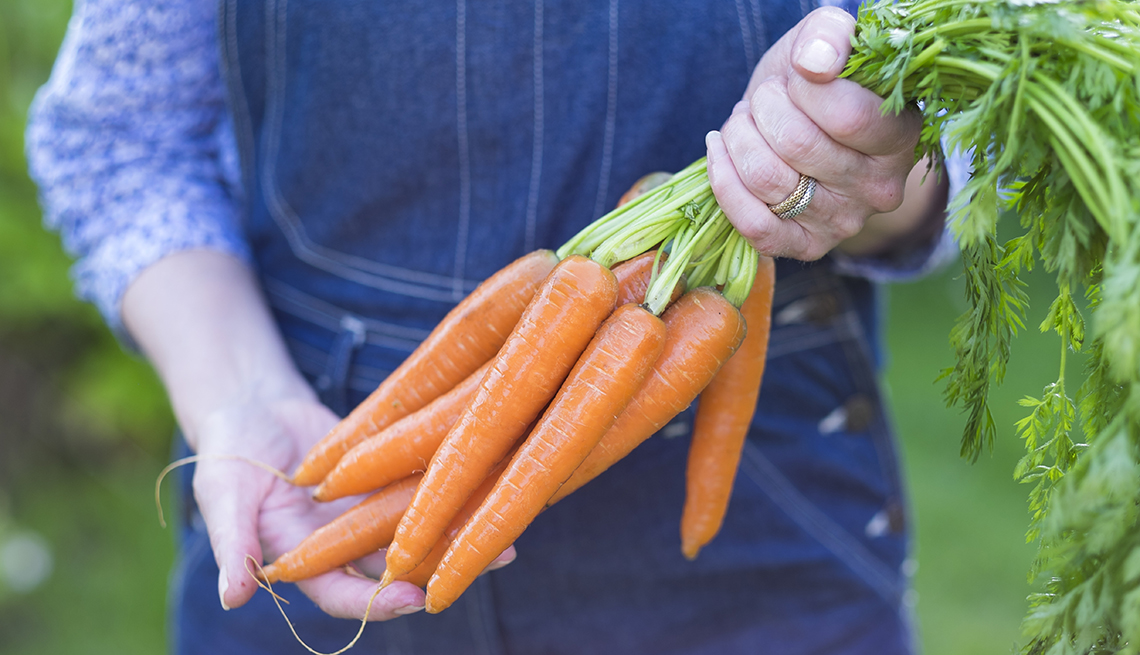 Close-up of woman's hands holding a bundle of carrots by the green stems in her garden.