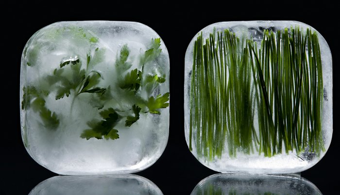 item 6 of Gallery image fresh herbs parsley and chives frozen in ice cubes