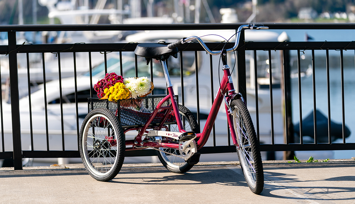 item 2 of Gallery image - a red trike bike the tristar burg 3 wheel 
