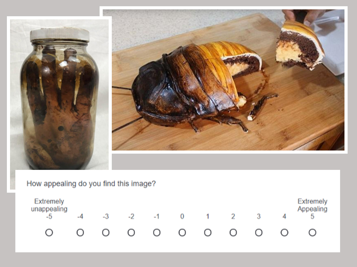 two images used in a test to determine how gross a viewer thinks they are one is a severed hand in a jar and the other is a cake  made to look like a cockroach with someone taking a slice out of it