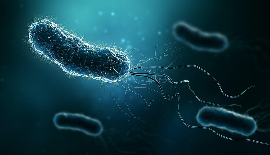 Una ilustración de bacterias.