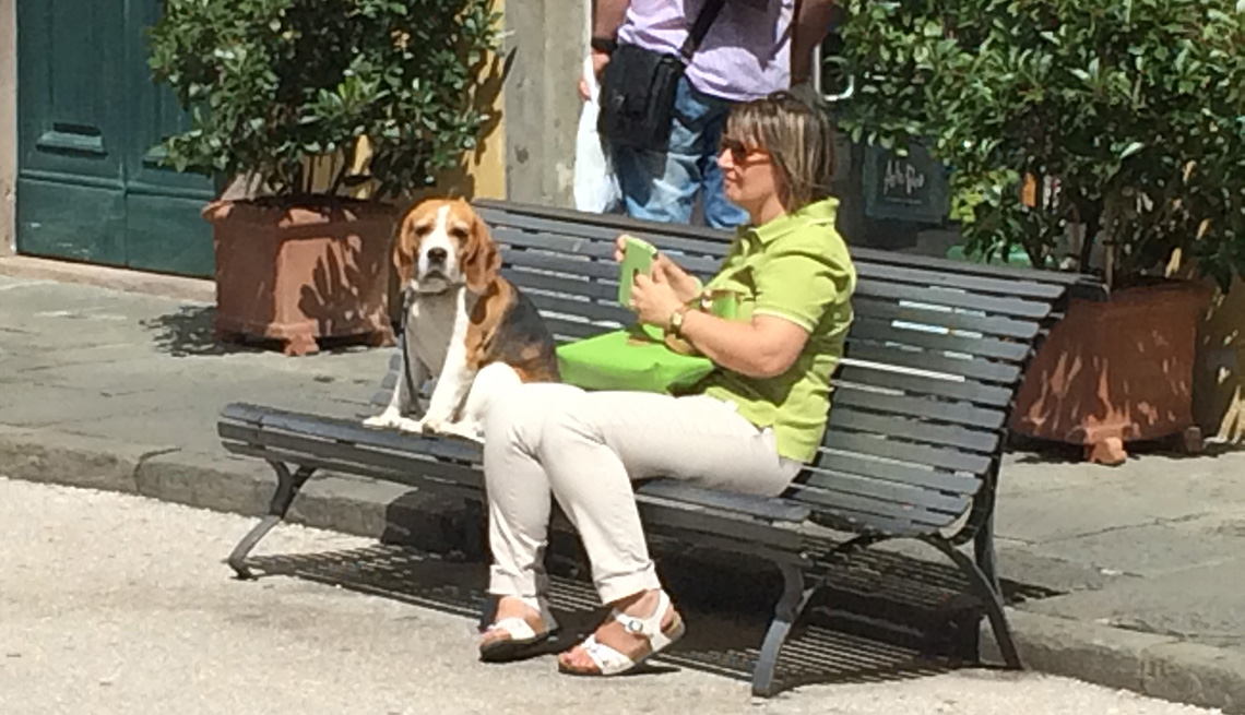 Woman Sits On Bench With Her Dog, AARP Home And Family, Get A Dog After 50