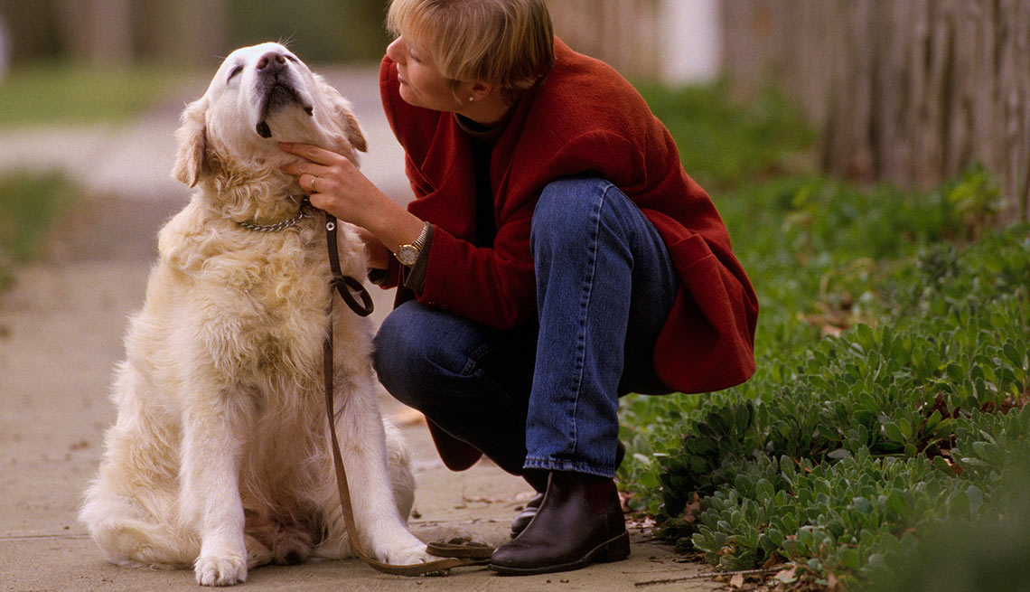 10 Reasons to Get a Dog When You’re Over 50