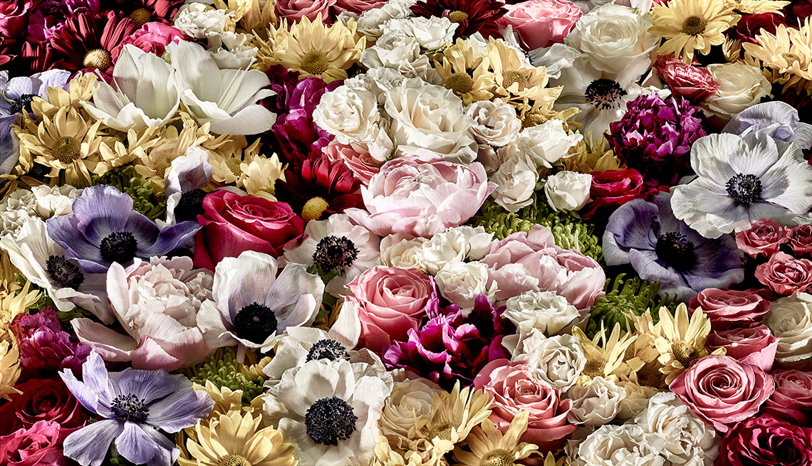 Variedad de flores y colores agrupadas