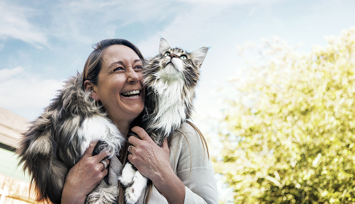 item 1 of Gallery image - a woman holds her large fluffy cat on her shoulders