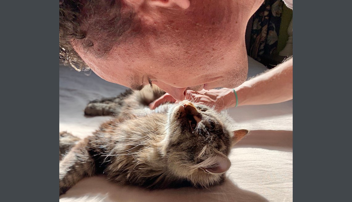 my cat perks enter code