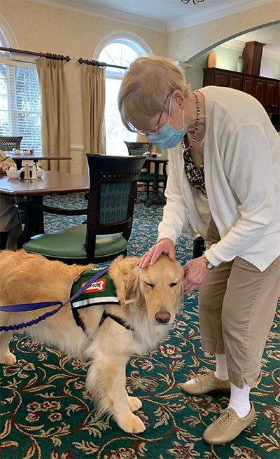 Frances Skelton greets golden retriever Marshall as he makes his rounds to detect COVID-19 at her senior living community. 