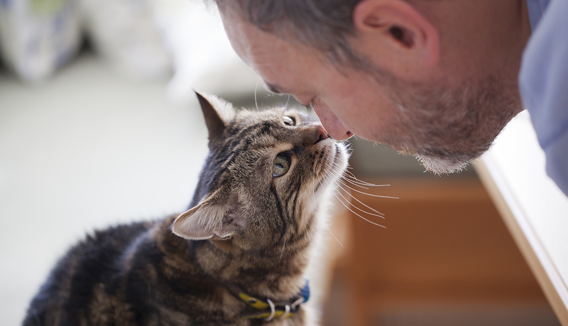 Un hombre y su gato mascota juntan sus narices