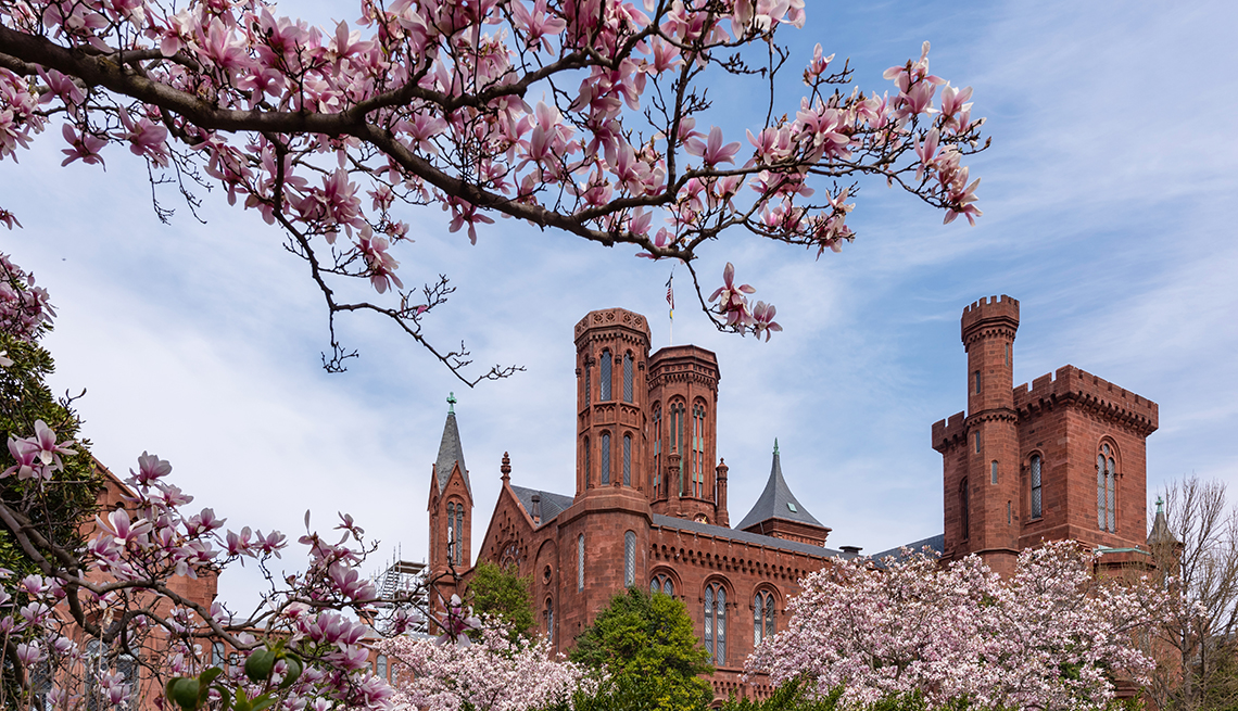 view of the top towers of the smithsonian castle on the national mall in washington d c surrounded by magnolia and cherry trees in bloom