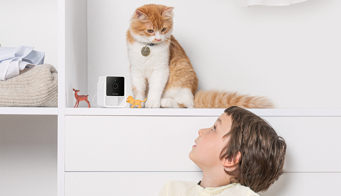 a cat sits up on a shelf next to the pet cube pet camera as a young boy looks up at the cat