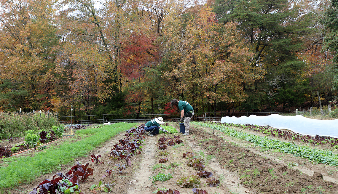 antoinette laforce and another staff member work on a farm field