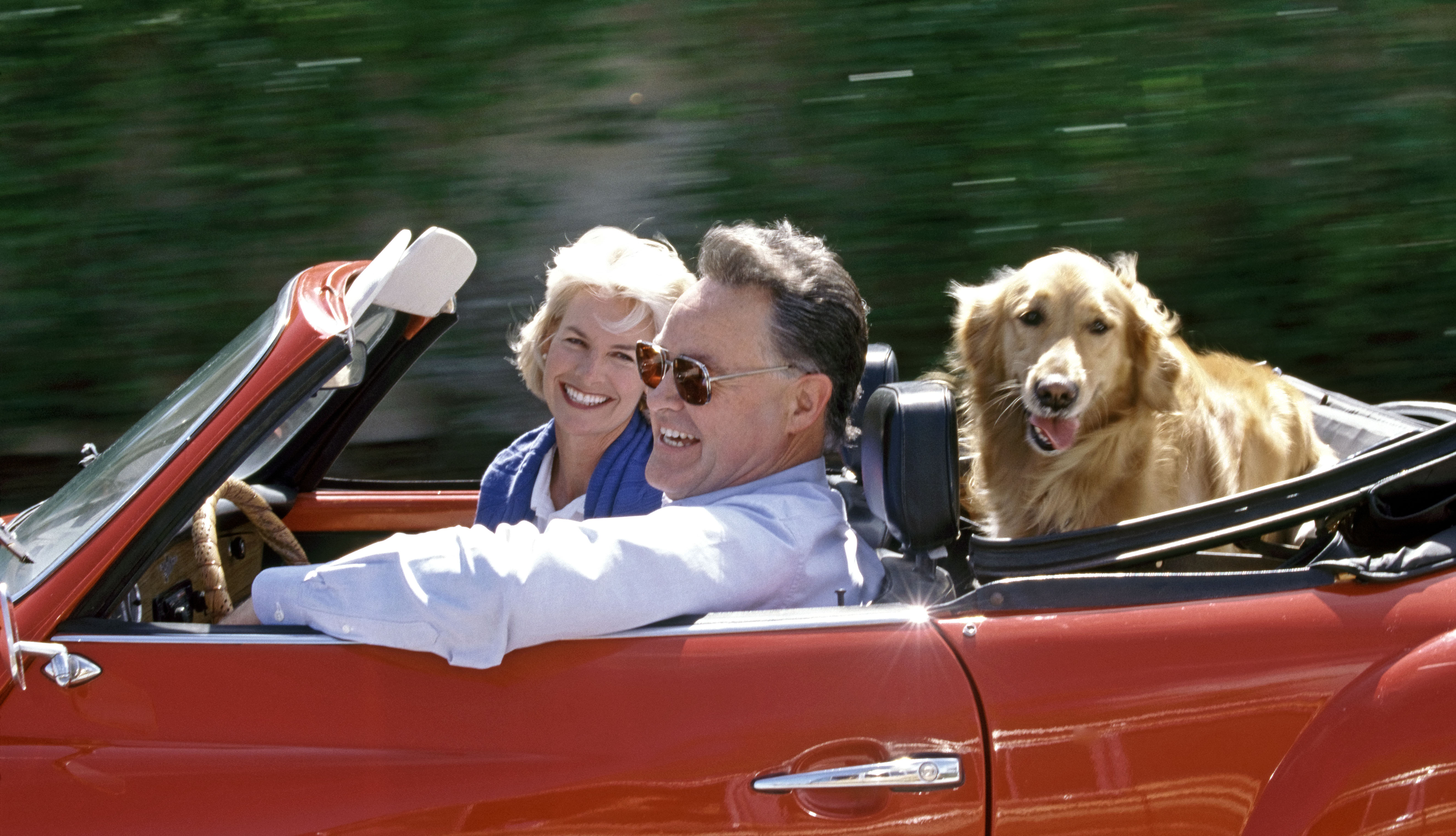 A couple enjoys a drive with their dog.