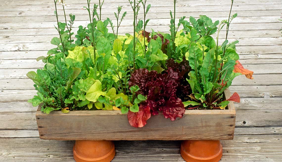 Maceteros para cultivar tus hierbas favoritas