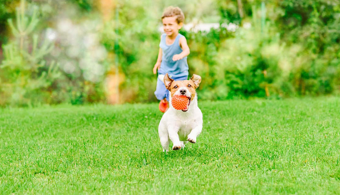 Niño en el jardín juega con un perro