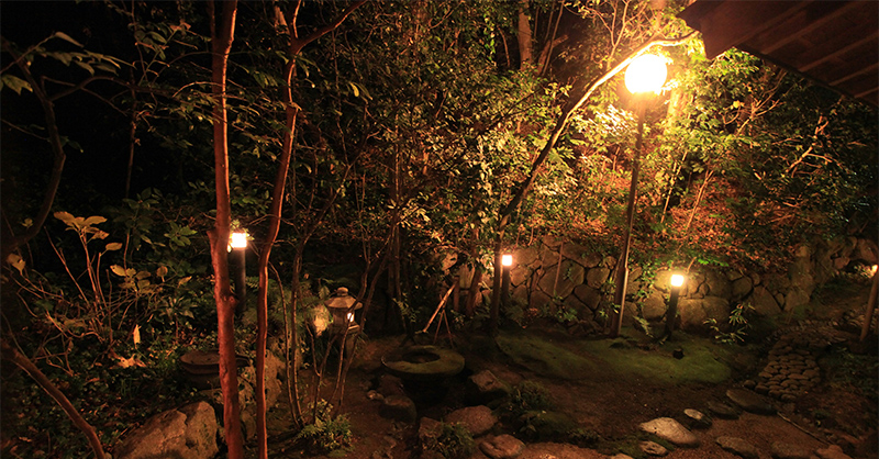 a lit garden and walkway at night