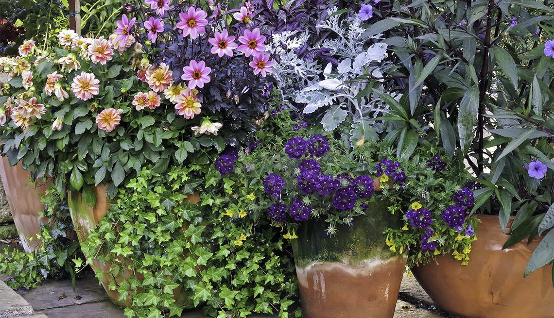 Macetas con flores y plantas en un jardín