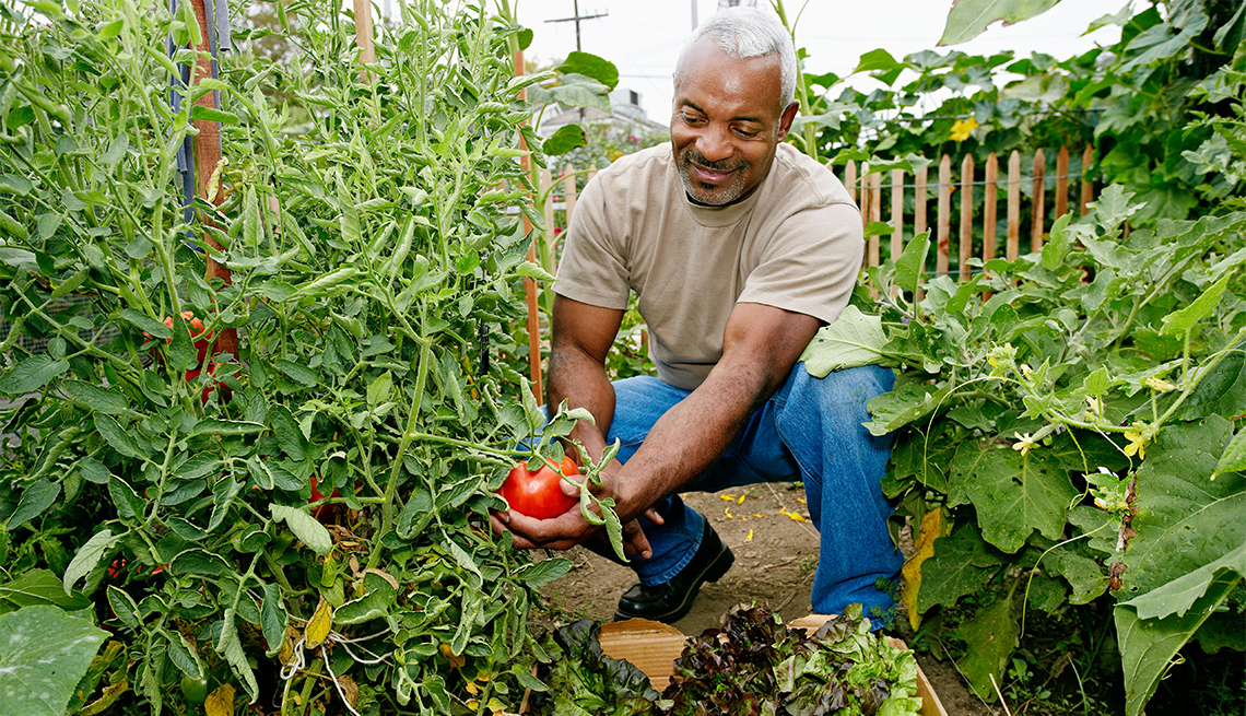 man gathering vegetables in his garden