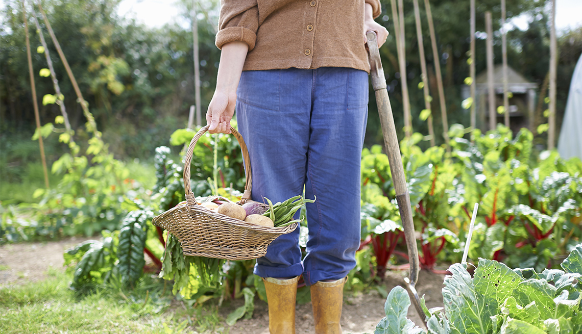 A woman stands in her garden holding fresh vegetables