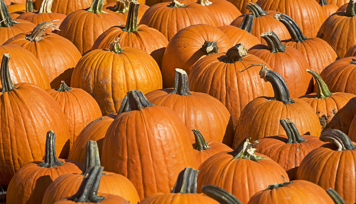 a pumpkin patch
