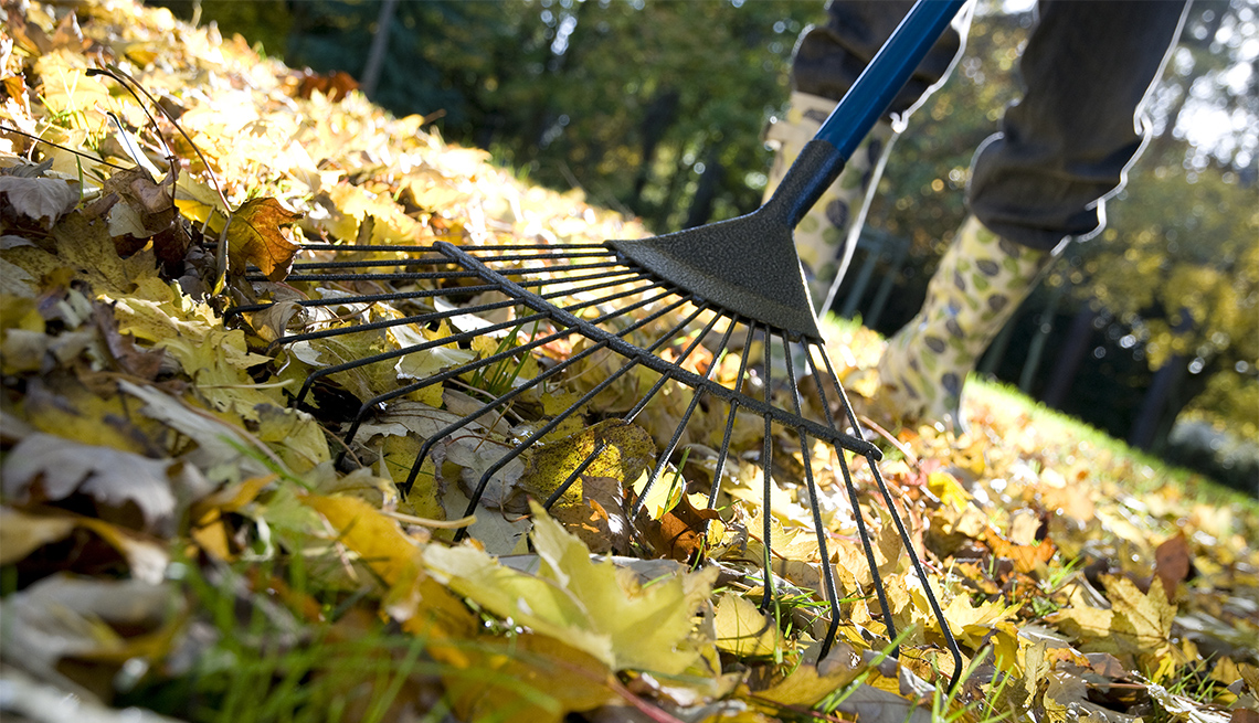 Persona rastrillando hojas de otoño