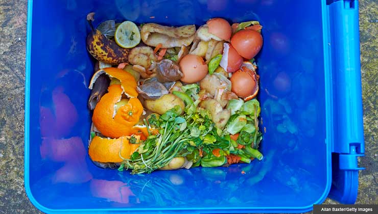 Vegetable peelings and food bits in a recycling compost bin.
