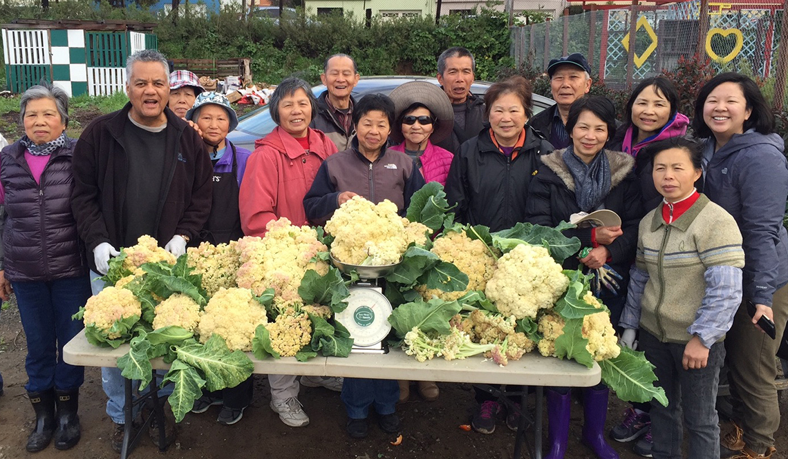 Community members gather around a cauliflower harvest from the Florence Fang Community Garden