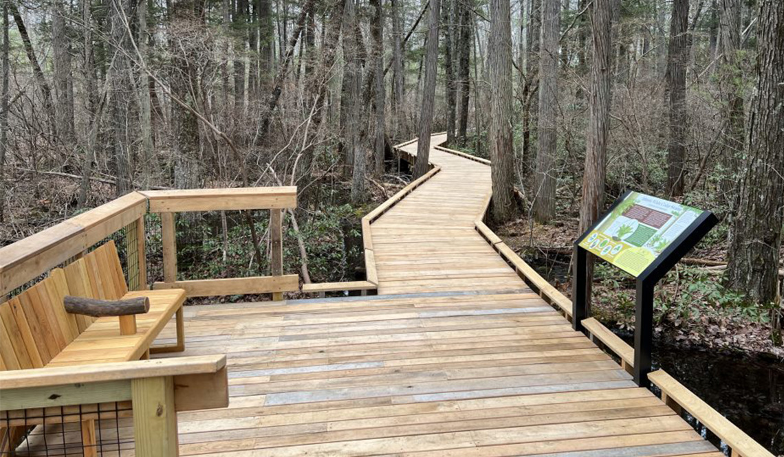 A wooden walkway provides a wheelchair-accessible trail through a forest.