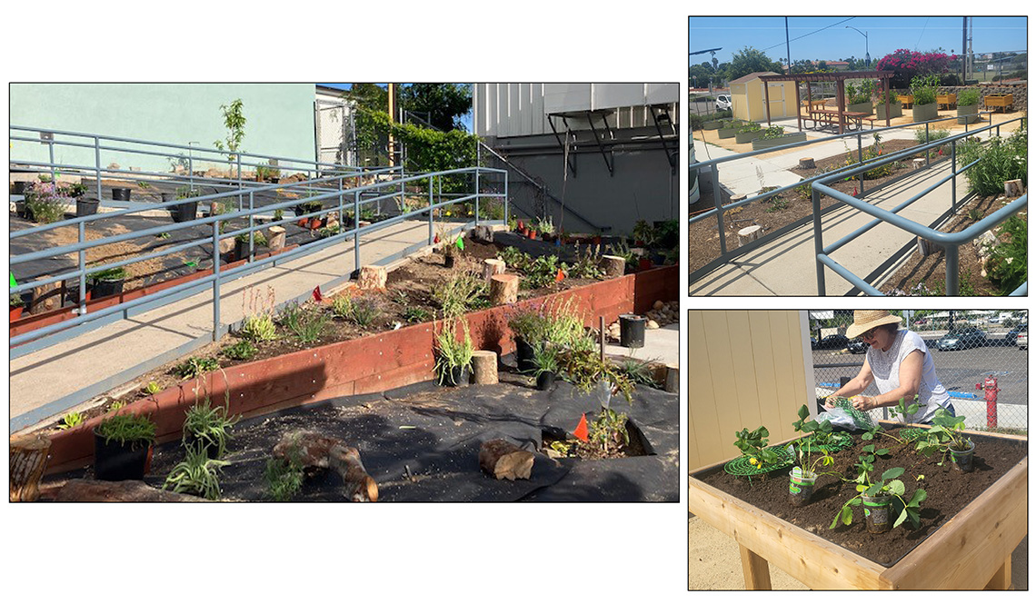 Three views of ramps and garden beds