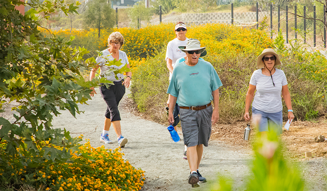 Four older adults walking along a gravel exercise path
