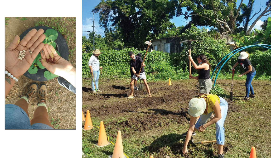 Volunteers set up a community garden in Puerto Rico