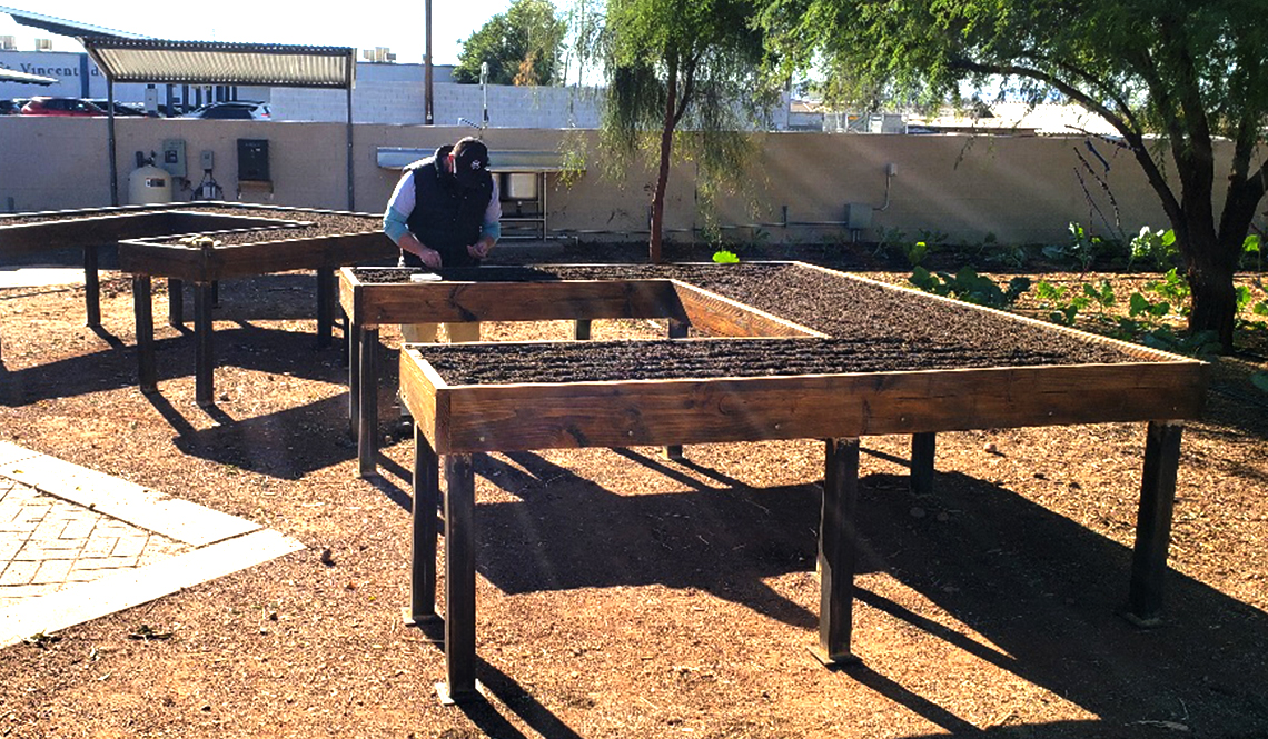 A man plants seeds in a tall, platform planting bed