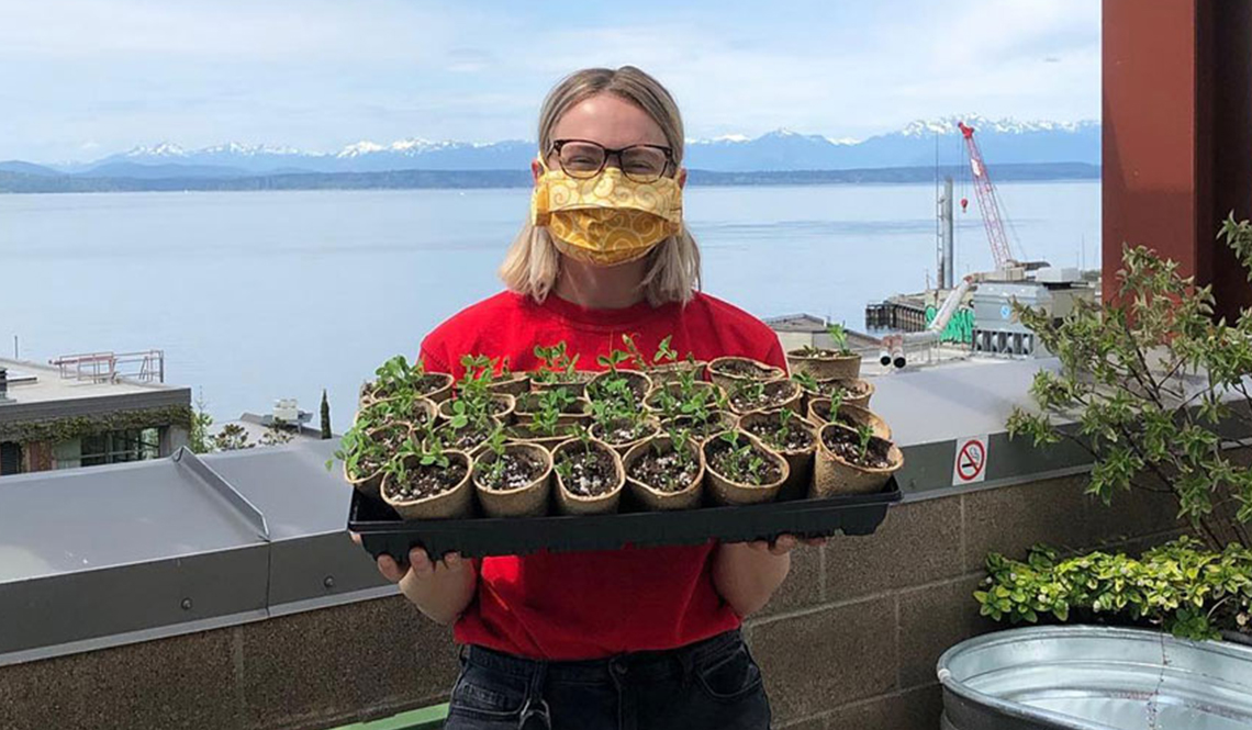 A woman wearing a face mask (due to COVID-19) displays a tray of seedlings