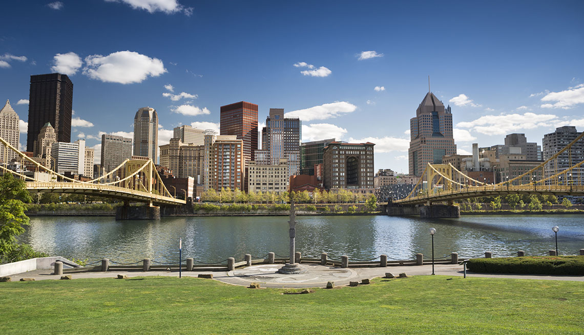 Pittsburgh Skyline, City, Lake, Waterfront Bridge, City, Park, Grass, Cityscape, Mayor Interviews, Livable Communities