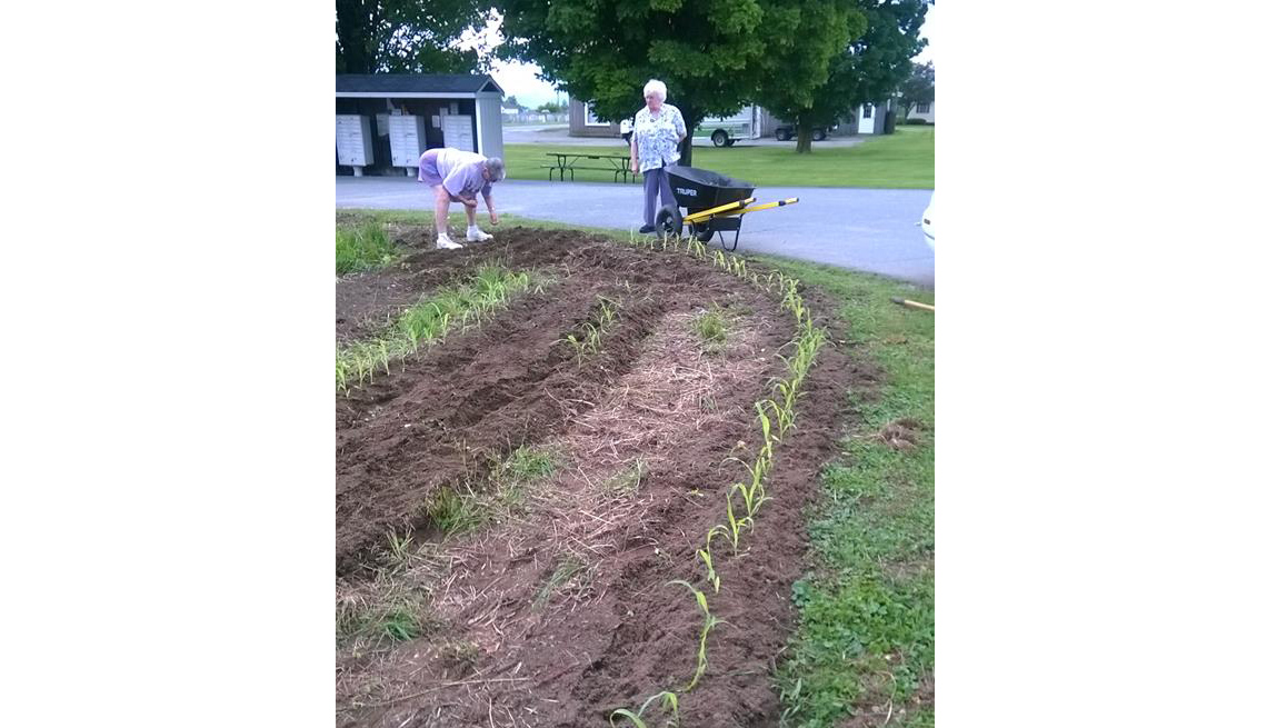 Two Elderly Ladies Tend To The Garden, How To Create And Maintain A Community Garden