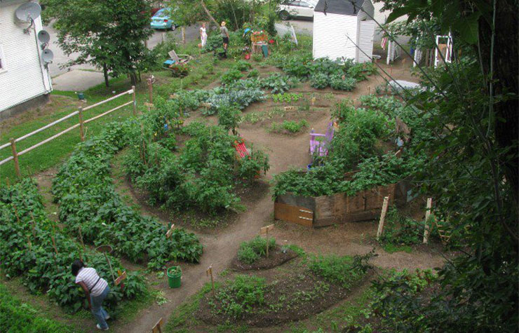 Fresh Start Community Garden