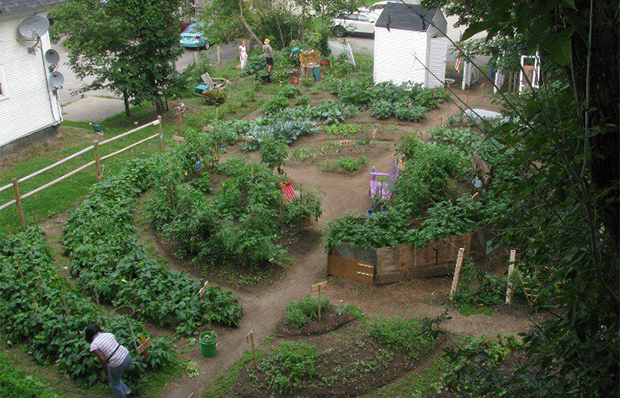Fresh Start Community Garden, Newport, Vermont