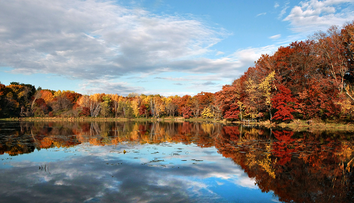Tree Lined Lake In Autumn With Blue Sky, Daylight, Outdoors, Livable Communities, 5 Questions With Brandt Richardson 