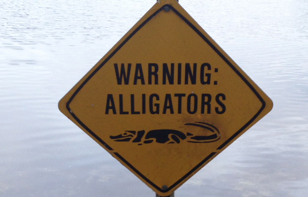 Alligator warning sign